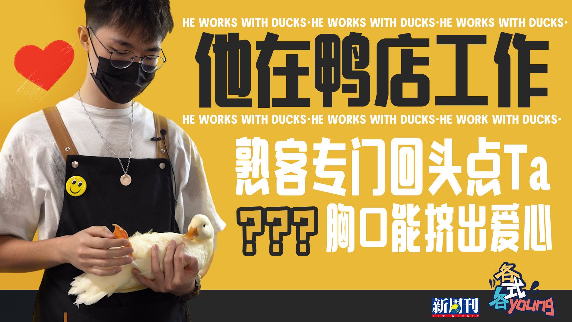 不知从何时起,一种名为“柯尔鸭”的鸭子成了萌宠界的新晋网红,甚至催生出了专门“撸鸭”的鸭店