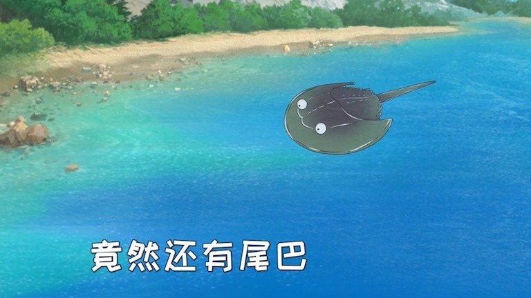 【COP15倒计时48天!带你走近拥有蓝色血液的神奇水中动物——鲎】 距离COP15第一阶