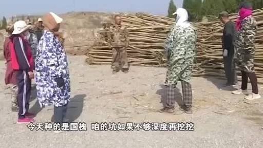 焦作半架山上的种树人 过去由于开山炸石,博爱县鸿昌街道下期城村边的半架山满目疮痍,花甲之年