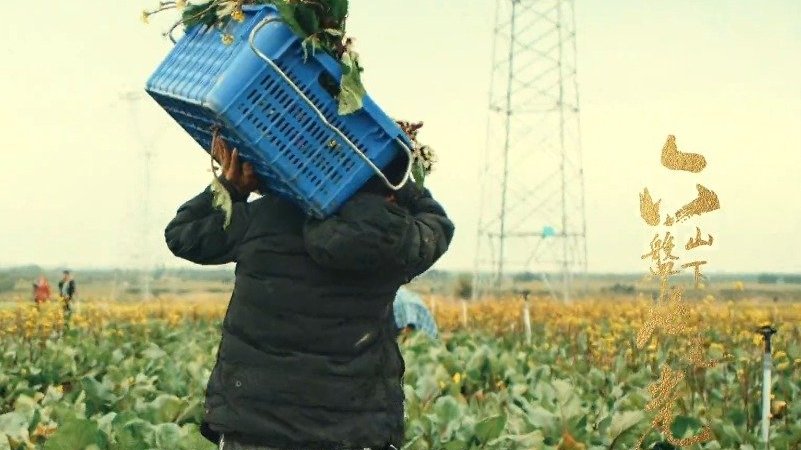 【#宁夏# 六盘山下好风光——电亮乡村振兴】