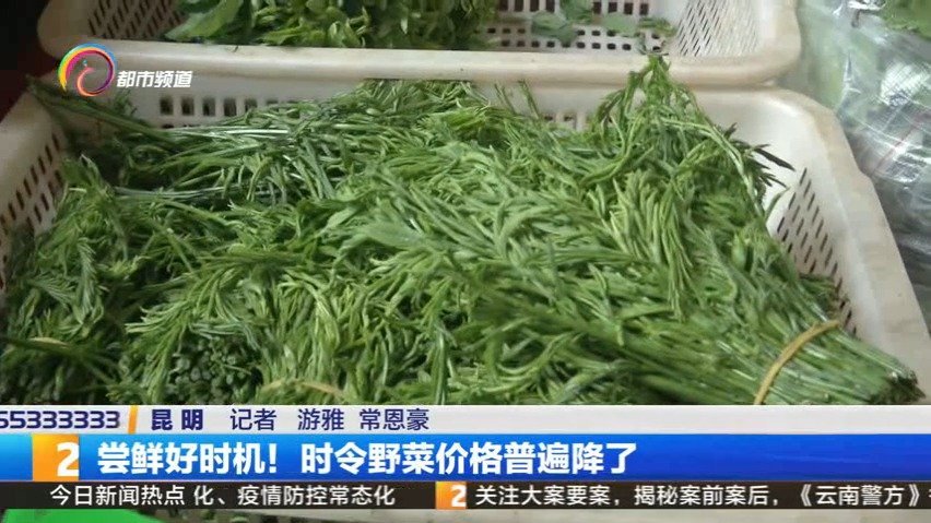 #云南美食#【又到云南人吃花吃野菜的季节 臭菜、棠梨花、茉莉花也能做成菜】这几天野菜已经大