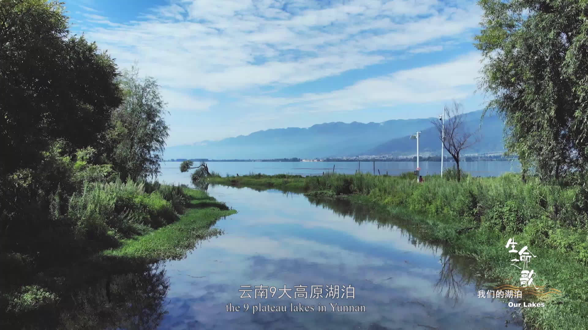 【《我们的湖泊》带你深潜水底,领略水下世界的精彩……】高原湖泊是散布在巍峨群山间的明珠,平