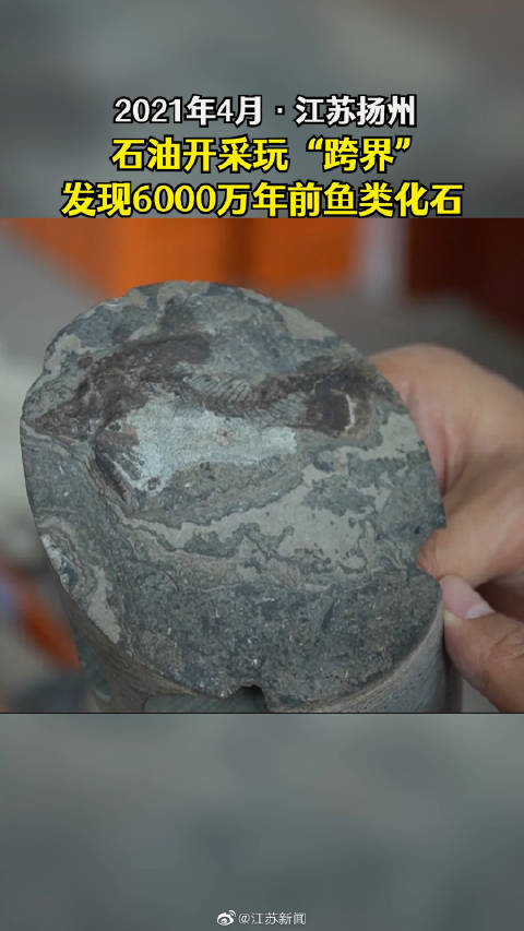 【千万年前的鱼长啥样?江苏油田发现6000万年前鱼化石[赞]】在扬州市江都邵伯的江苏油田岩