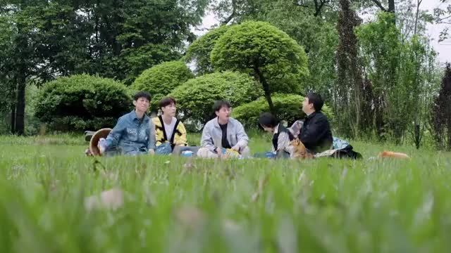 @彭昱畅气氛破坏王 @彭昱畅 真的太好笑了,在最新一期的向往的生活里,蘑菇屋的大家外出郊游