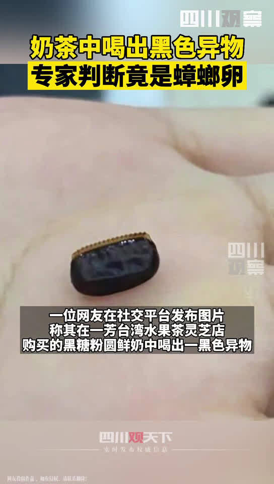 【深圳一芳奶茶中疑喝出蟑螂卵:奶茶店总部联系该消费者赔偿1000元】近日,广东深圳。一位网