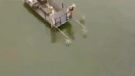 【上海一男子深夜电鱼被抓现行 非法捕捞3.5公斤被刑拘】2月21日23时许,上海浦东警方在