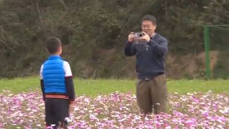 【春回大地 #和大鹏来一场春天的约会#】春暖花开、万物复苏,位于深圳大鹏所城东门鹏城美丽乡