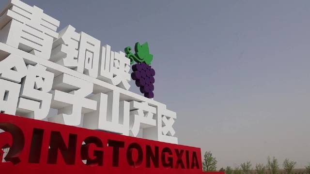 #中国葡萄酒当惊世界殊# 2022年宁夏贺兰山东麓葡萄春耕展藤活动暨万亩葡萄基地开工仪式,