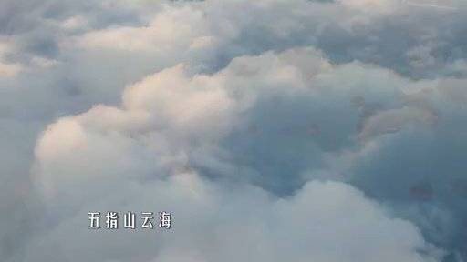 #广式生活#【绝美云海!一分钟带你解锁从化“云海之境”!】广州市流溪河国家森林公园一带的山