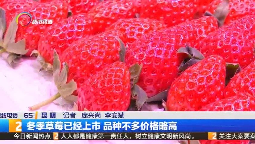 【昆明冬季草莓上市! 今冬第一颗草莓安排了没】最近,草莓开始少量上市,对于草莓爱好者来说,
