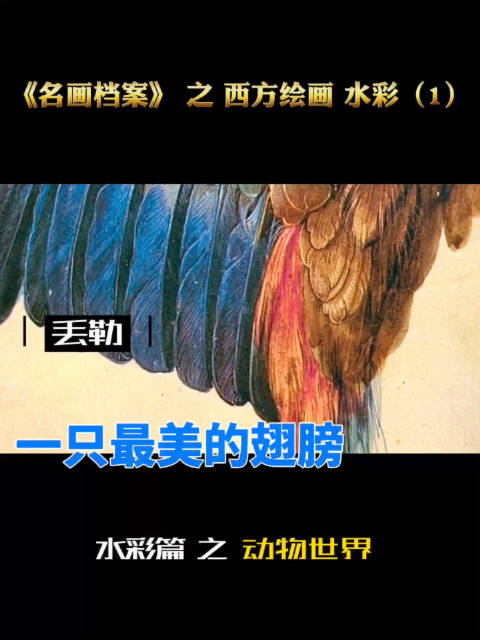 作为北方文艺复兴的代表人物,丢勒是一个与达芬奇类似的百科全书式的通才,他的版画和自画像深入
