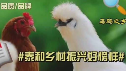 你知道乌鸡是什么颜色的吗?泰和乌鸡的药用价值泰和乌鸡集药、食、补三大功能于一体,是我国特有