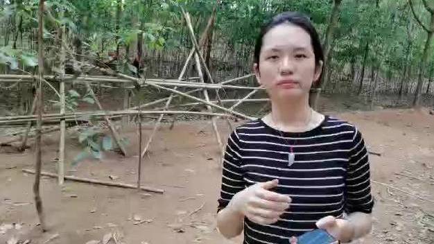 【这只山鸡曾助力“琼中女足”夺冠,今又助力脱贫攻坚】“琼中山鸡是大名鼎鼎的特色本地鸡种,每