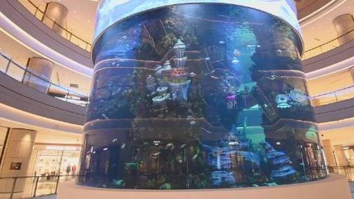 【重庆商场花2亿建全景海底世界 梦幻美人鱼秀浪漫吸睛[期待]】10月20日,重庆一商场斥2