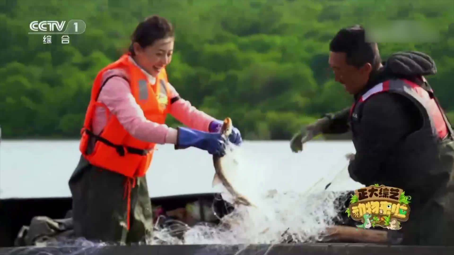 【在乌苏里江捕鱼如开盲盒】鳌花鱼、鳊花鱼、法罗......乌苏里江渔业资源非常丰富,捕鱼高