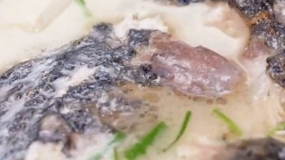 【鲫鱼豆腐汤】奶白色的鲫鱼汤,口味咸鲜可口,美味和养生兼备哦 !转起学做!  