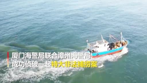 厦门海警侦破特大非法捕捞案 利用电拖网形式实施非法捕捞,对海洋生态环境特别是渔业资源会造成