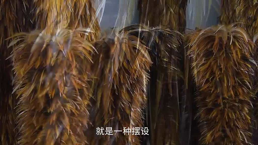 【山东手造·聊城有礼 |鸡毛也能飞上天!这门手艺已传承了600多年】#山东手造# 