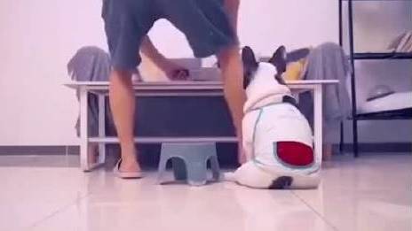 本来想吃面,现在想吃狗肉了!