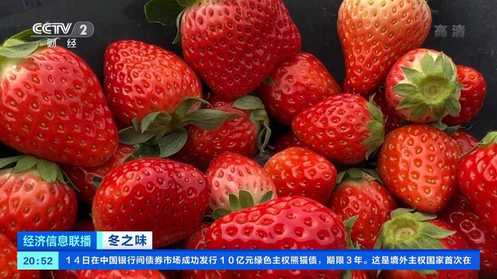 【草莓延迟上市,量少价贵,上海1斤草莓批发价近30元】往年到了这个时候,已经是上海本地草莓
