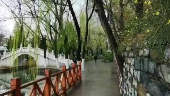 【#商洛# 春雨过后 莲湖公园 空气清新 风景宜人】 一场春雨过后,今天清晨,商洛莲湖公园