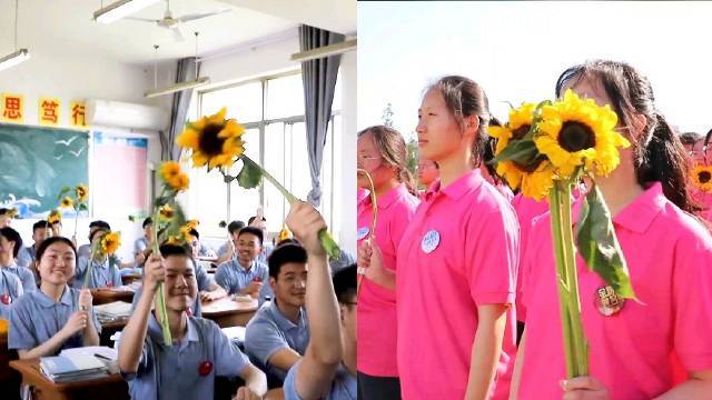 【暖!淮安一景区采摘2000株向日葵赠高三学子:祝愿他们一举夺魁】江苏淮安,6月5日。20