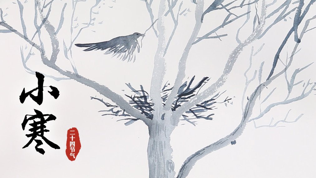【小寒料峭,一番春意换年芳】小寒节气,是二十四节气中的第23个节气,它的到来,标志着我国从