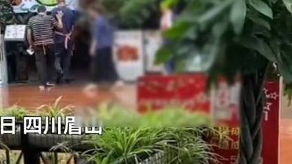 【警方通报女老板殴打员工事件:老板和老板娘都被行拘】8月26日,一条四川眉山“女老板打员工