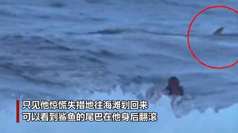 【可怕时刻!波多黎各男子冲浪时发现鲨鱼在身后 拼命划回海滩】男子豪尔赫·贝尼特斯11月30