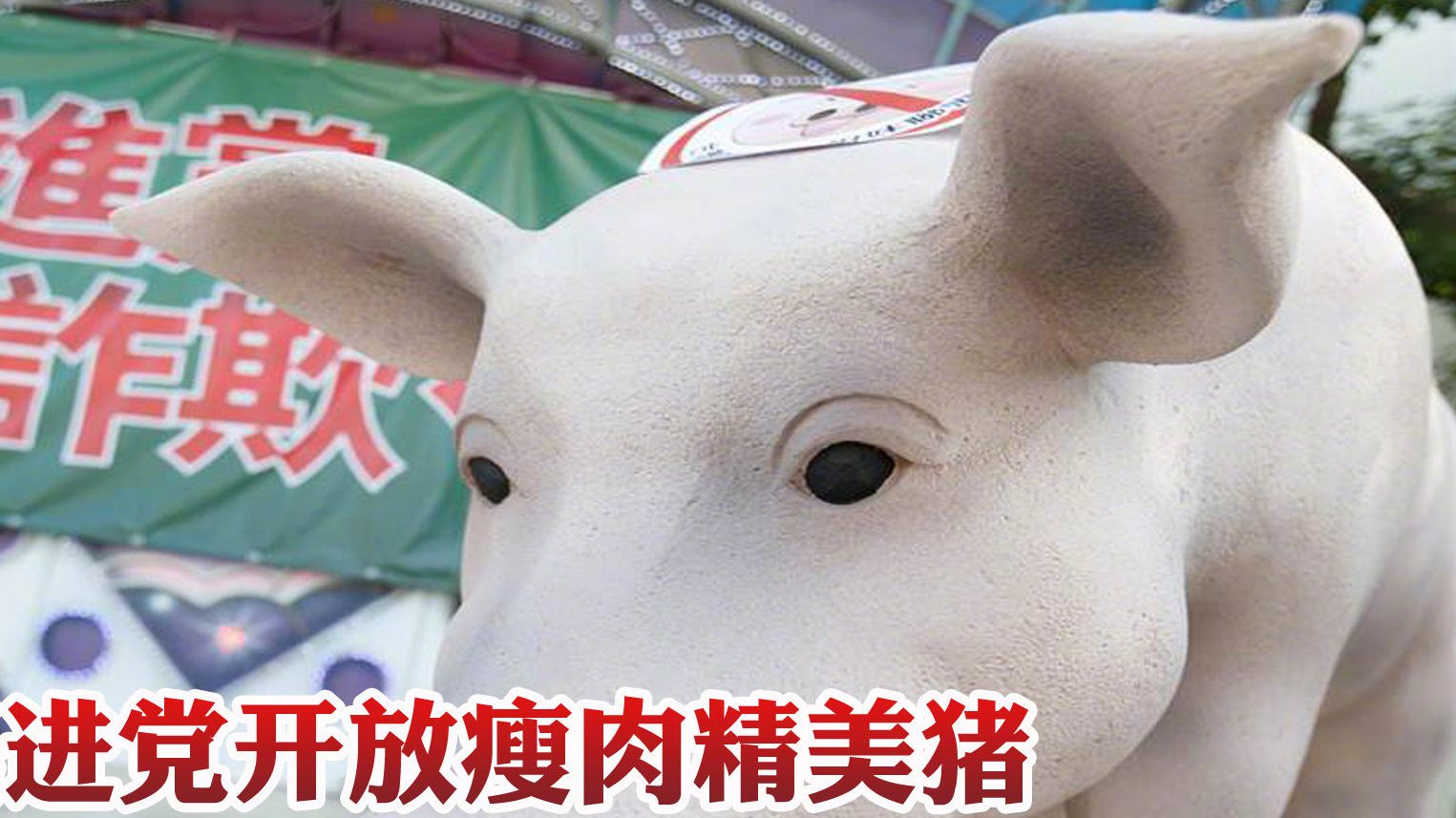 【无原则开放瘦肉精入岛,民进党当局已沦为美国傀儡】一旦含瘦肉精的美猪美牛长驱直入,台湾的猪