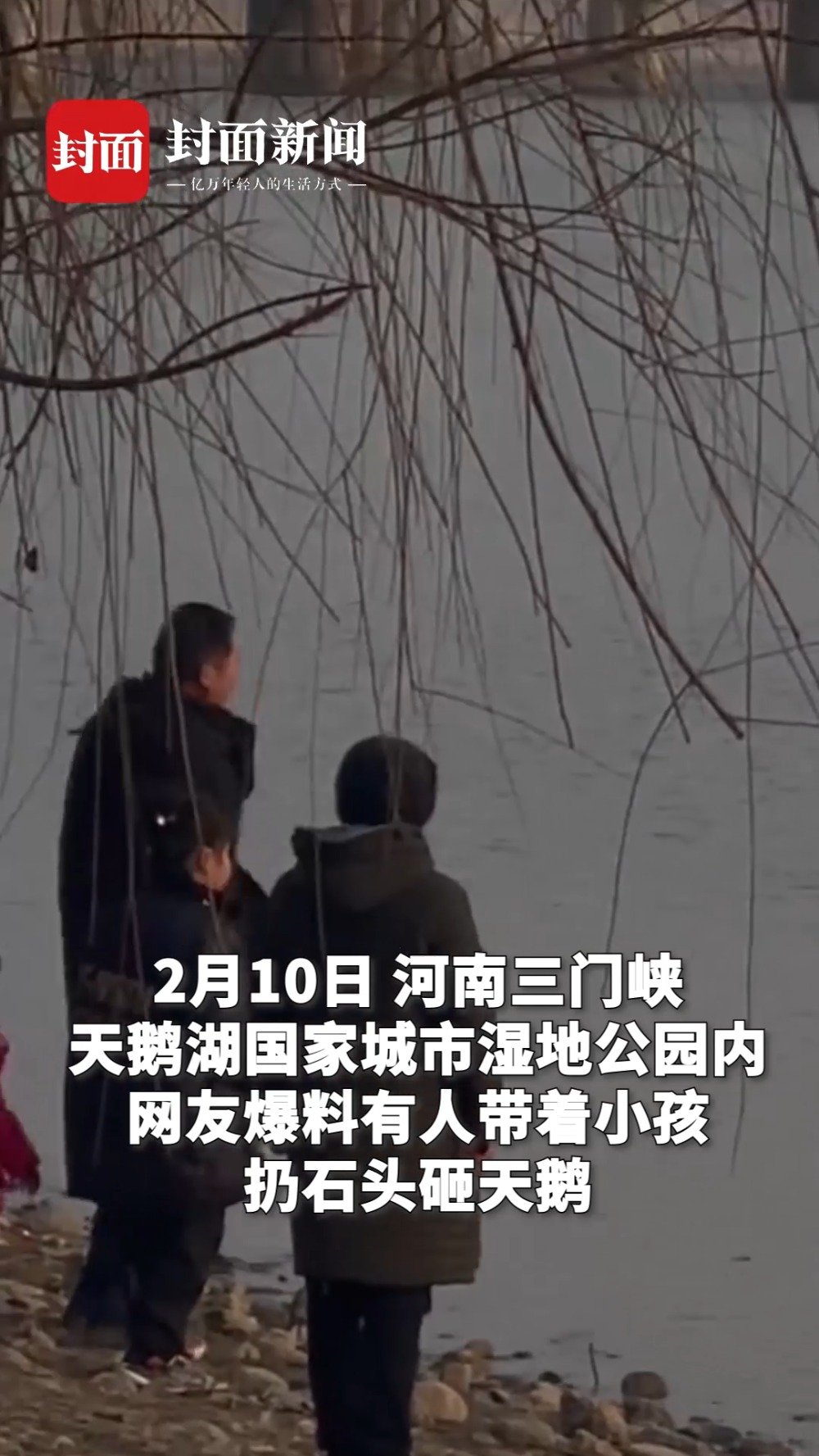 【#家长带着小孩扔石头砸天鹅# 景区:已上报相关情况】据青蕉视频报道:2月10日,河南三门