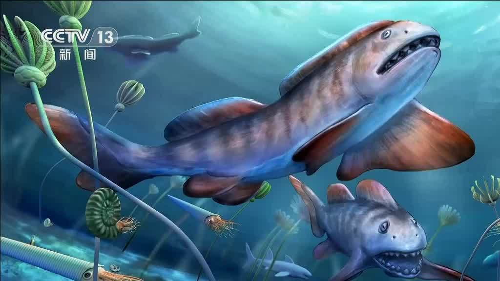 【首次发现!2.9亿年前史前巨鲨瓣齿鲨!】近日,中科院古脊椎所等在山西阳泉地区首次发现2.