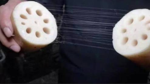 洪湖人有一句老话:三天不喝藕汤,做事心里发慌。我们每吃到一口新鲜的食材,背后都有默默付出的