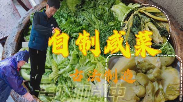 年味纪录片:大年初一,公婆合力腌咸菜,古法腌制过程全曝光这是我第一次用手机完整记录下婆婆腌