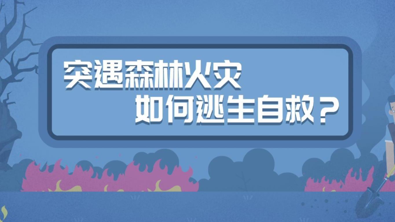 【秋干物燥,小心火烛!】#秋天的第一杯奶茶# 喝了吗?秋天的第一批天鹅 已经到啦!秋季是森