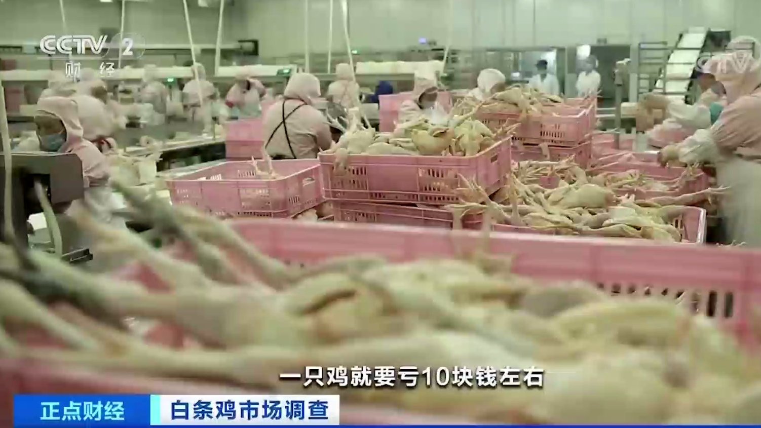 【白条鸡批发价跌价超15%,有企业每羽鸡最高亏10元!】7月28日,白条鸡的平均批发价为每