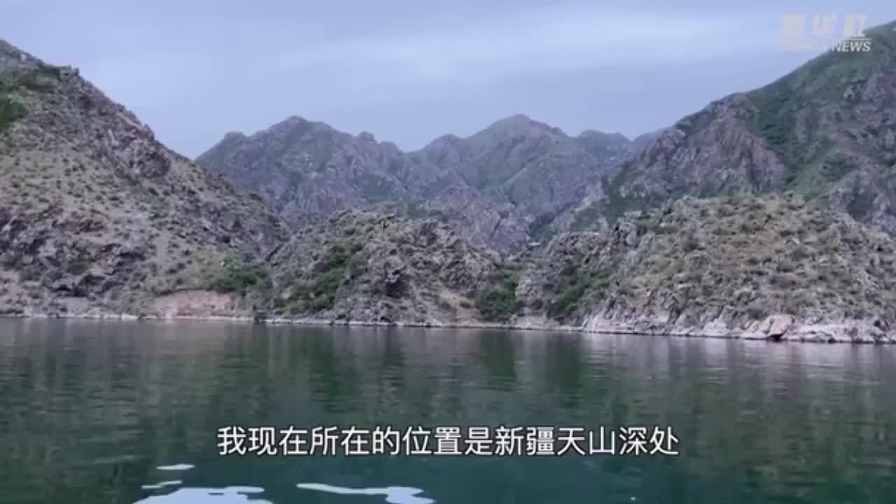 【离海最远的渔民天山深处养三文鱼:带动当地600余户贫困户参股分红】6月22日,据新华社。