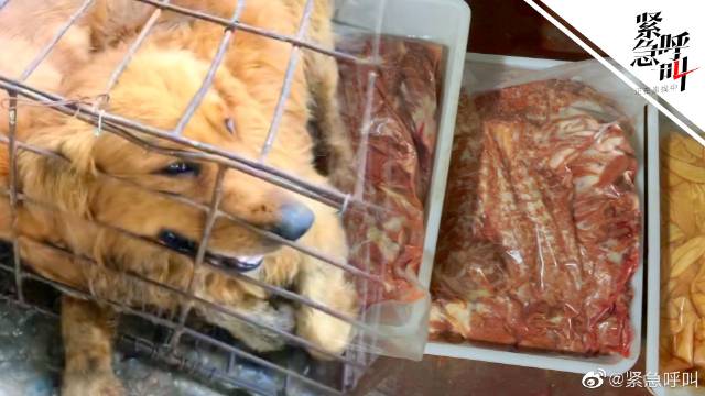 【四川内江一作坊把狗肉当羊肉出售】10月19日,多名网友爆料四川省内江市和自贡市存在非法囤