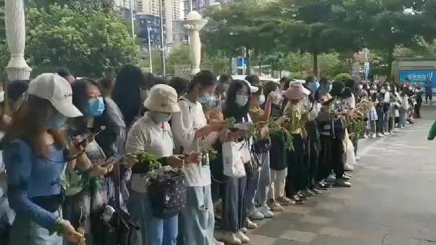 王一博粉丝场外应援人手一把香菜mtjj也太可爱了,用香菜应援,给香菜小啵最大的排面,这下够