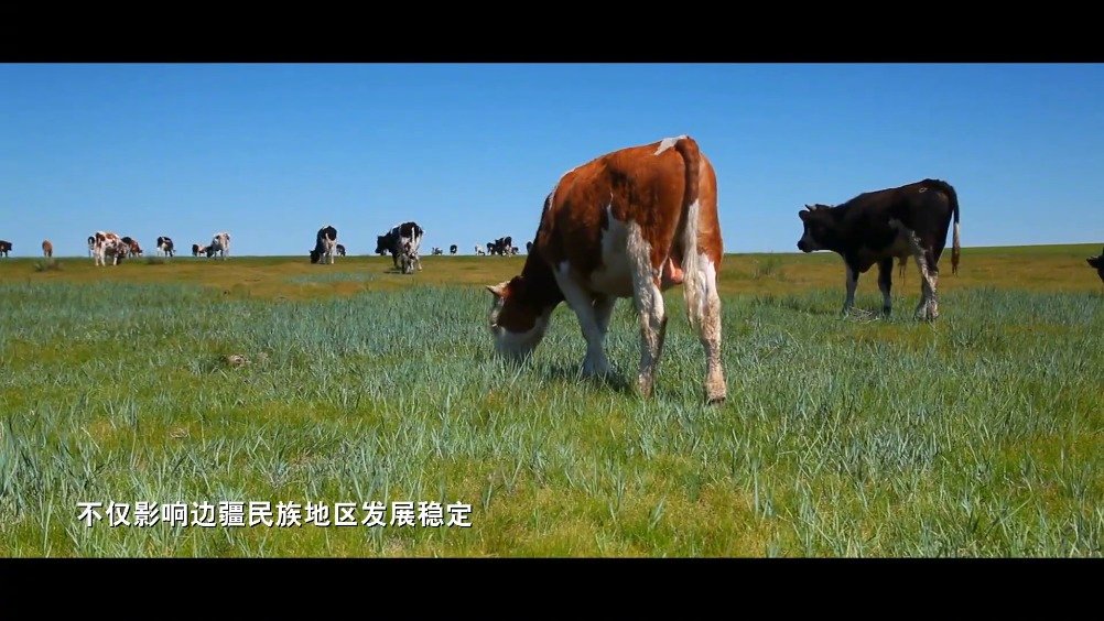 【检察听证案例微视频展播】内蒙古自治区兴安检察 :“草地听证”开启民族地区检察服务新模式 