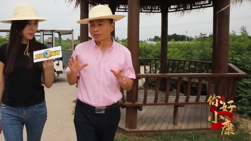 【郑州流行去中牟当农夫?】别再羡慕李子柒的田园生活啦,郑州中牟关家村的稻草人农场了解一下?