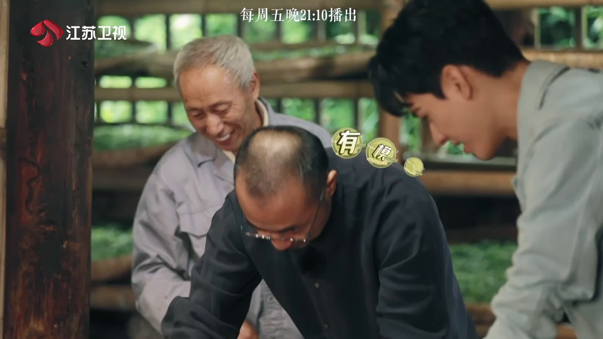 屏山炒青,绿茶一绝,14道工序,道道考究!现场体验绿茶的“杀青”过程,@刘仪伟 有模有样,