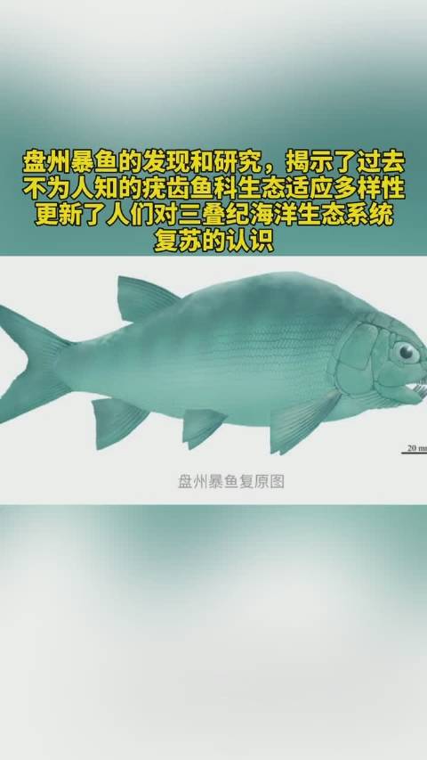 4月7日,中国科学院古脊椎动物与古人类研究所徐光辉研究员在接受采访时介绍,其研究团队最近在