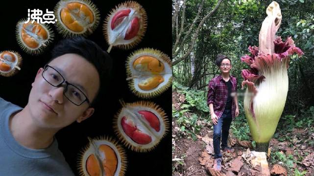 【工程师辞职进山吃1000多种水果 一年自费几十万常被说“不务正业”[加油]】杨晓洋是一名