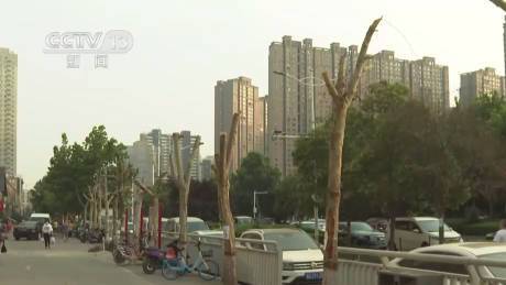 【饭店投毒损毁行道树6人被刑拘】今年春节后,因担心饭店门前梧桐树枝叶繁茂遮挡招牌影响生意,