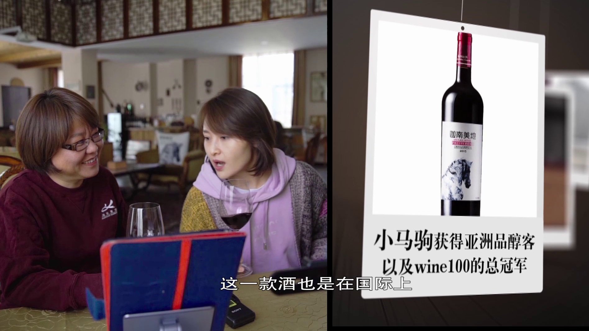 当庄主做起电商,葡萄酒的“小马驹”奔跑在网售平台上贺兰山东麓葡萄酒之都 