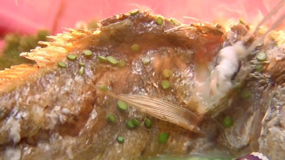 《金玉满堂》里的满汉全席一共是一百零八道菜,分三天三夜六道宴席,汇聚了全国东西南北各地的名