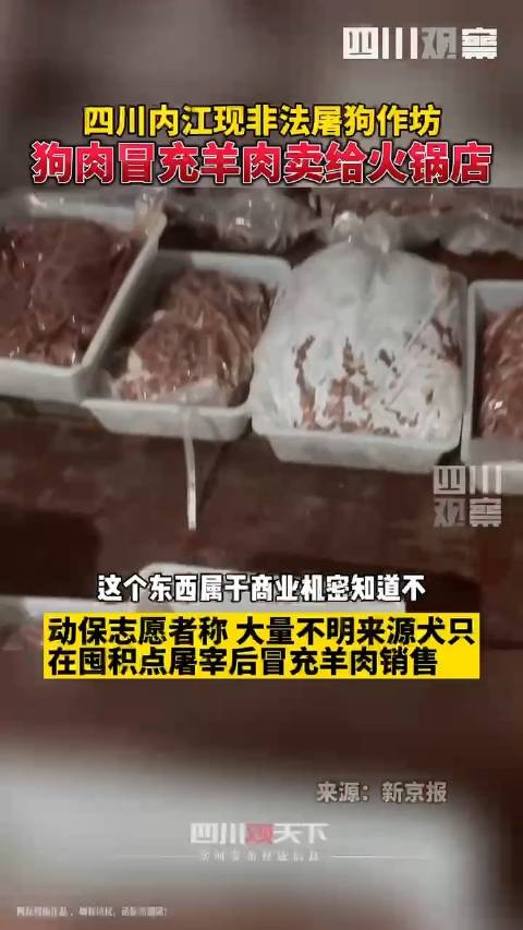 【四川内江现屠狗作坊】10月20日,四川内江。偏僻山林中有一处非法屠狗窝点,工人直言,狗肉