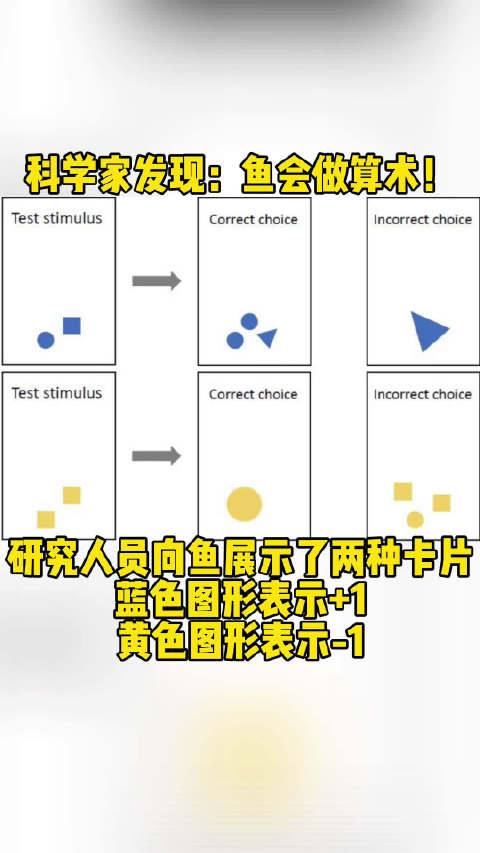 #科学家发现鱼会数学# ????居然这么聪明!(中国科普网) 
