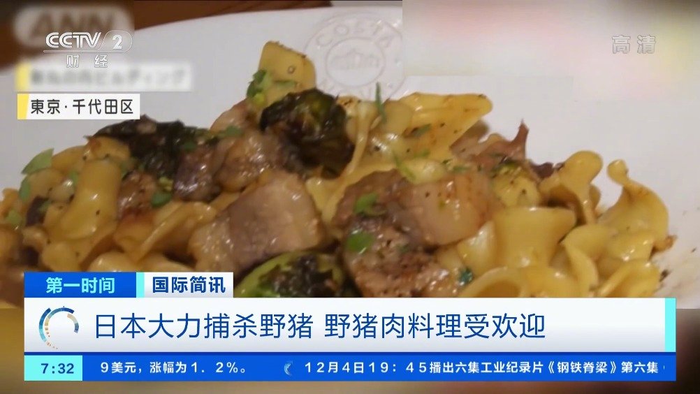 【日本野猪肉料理火了 2020年日本捕杀135万头野猪】近年,野猪给日本各地的农业造成严重